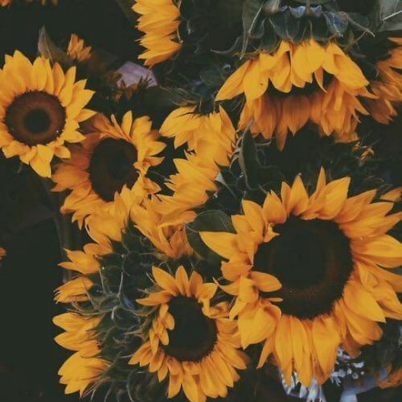 Meet your Posher, Shavon - Picture 1 of 1